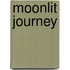 Moonlit Journey