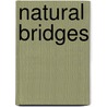 Natural Bridges by Randy Fujishin