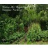 Nature Man-Made