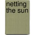 Netting The Sun