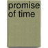 Promise Of Time