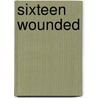 Sixteen Wounded door Eliam Kraiem