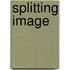 Splitting Image