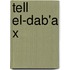Tell El-Dab'a X