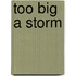 Too Big a Storm