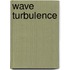 Wave Turbulence