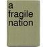 A Fragile Nation