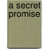 A Secret Promise