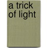 A Trick Of Light by Karen Blomain