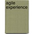 Agile Experience