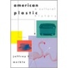 American Plastic door Jeffrey L. Meikle