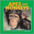 Apes And Monkeys
