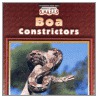 Boa Constrictors door Valerie J. Weber