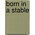 Born In A Stable