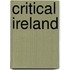 Critical Ireland