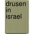 Drusen In Israel