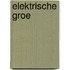 Elektrische Groe