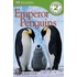 Emperor Penguins