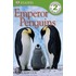 Emperor Penguins