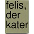 Felis, der Kater