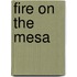 Fire on the Mesa