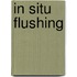 In Situ Flushing