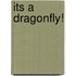 Its a Dragonfly!