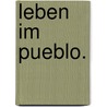 Leben im Pueblo. door David Baird