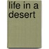 Life In A Desert