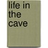 Life in the Cave