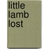 Little Lamb Lost