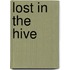 Lost In The Hive