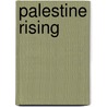 Palestine Rising door Dawud Assad