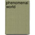 Phenomenal World