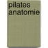 Pilates Anatomie