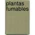 Plantas Fumables