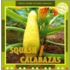 Squash/Calabazas