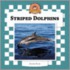 Striped Dolphins