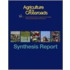 Synthesis Report