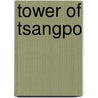 Tower Of Tsangpo by Nelson Lucier
