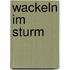 Wackeln Im Sturm