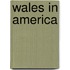 Wales in America