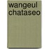 Wangeul Chataseo