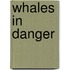 Whales in Danger