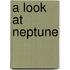 A Look at Neptune