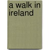 A Walk in Ireland door Michael Fewer