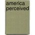 America Perceived