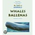 Ballenas = Whales