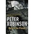 Before The Poison