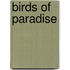 Birds Of Paradise